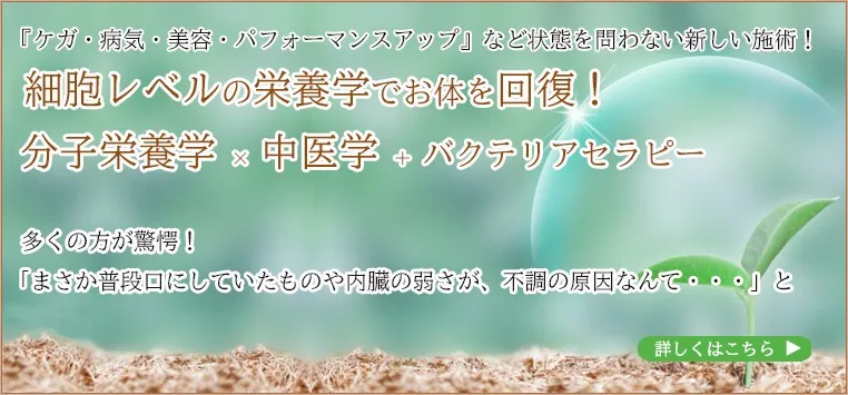 分子栄養学×中医学+バクテリアセラピー