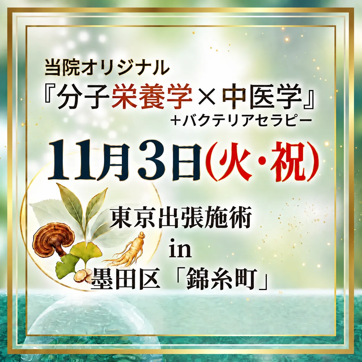 11月3日(火・祝)東京出張施術!in 「錦糸町」|整体院てあて